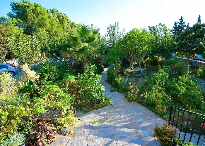 Guest house Poyraz *