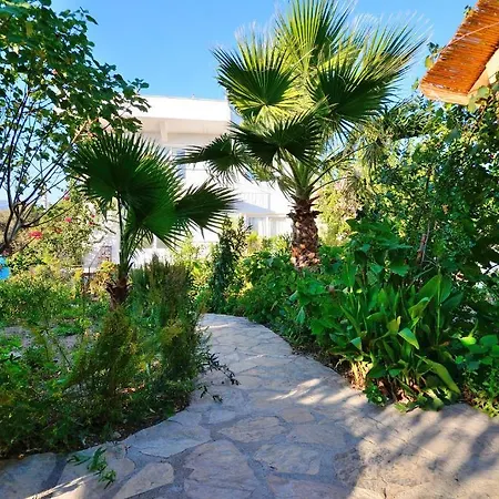 Poyraz Mesudiye (Datca)