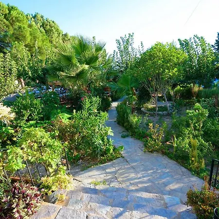 Guest house Poyraz *